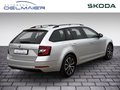 Daumennagel 3 - Skoda Octavia Combi Soleil ACC, Kamera, AFS