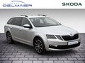 Daumennagel 2 - Skoda Octavia Combi Soleil ACC, Kamera, AFS
