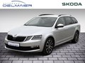 Daumennagel 1 - Skoda Octavia Combi Soleil ACC, Kamera, AFS