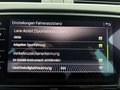 Daumennagel 20 - Skoda Octavia Combi Soleil ACC, Kamera, AFS