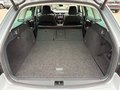 Daumennagel 13 - Skoda Octavia Combi Soleil ACC, Kamera, AFS