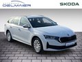 Daumennagel 2 - Skoda Octavia Combi 2.0 TDI 85 kW Essence