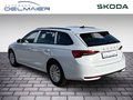Daumennagel 4 - Skoda Octavia Combi 2.0 TDI 85 kW Essence