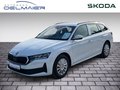 Daumennagel 1 - Skoda Octavia Combi 2.0 TDI 85 kW Essence