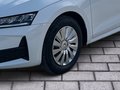 Daumennagel 6 - Skoda Octavia Combi 2.0 TDI 85 kW Essence