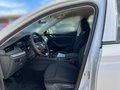 Daumennagel 7 - Skoda Octavia Combi 2.0 TDI 85 kW Essence