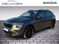 Daumennagel 1 - Skoda Kamiq Essence