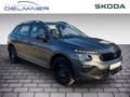 Daumennagel 2 - Skoda Kamiq Essence
