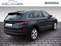 Daumennagel 3 - Skoda Kodiaq Tour 4x4