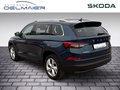 Daumennagel 4 - Skoda Kodiaq Tour 4x4