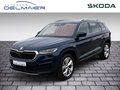 Daumennagel 1 - Skoda Kodiaq Tour 4x4