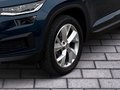 Daumennagel 6 - Skoda Kodiaq Tour 4x4