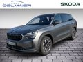 Daumennagel 1 - Skoda Kodiaq 2.0 TDI 142 kW 4x4 Selection