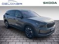 Daumennagel 2 - Skoda Kodiaq 2.0 TDI 142 kW 4x4 Selection