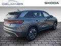 Daumennagel 3 - Skoda Kodiaq 2.0 TDI 142 kW 4x4 Selection