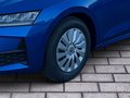 Daumennagel 6 - Skoda Octavia Combi 1.5 TSI 85 kW Essence