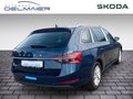 Daumennagel 3 - Skoda Superb Combi 2.0 TDI DSG Style