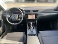 Daumennagel 10 - Skoda Superb Combi 2.0 TDI DSG Style