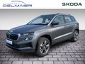 Daumennagel 1 - Skoda Karoq Tour