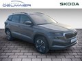 Daumennagel 2 - Skoda Karoq Tour
