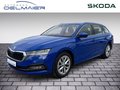 Daumennagel 1 - Skoda Octavia Combi Style