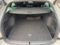 Daumennagel 12 - Skoda Octavia Combi 2.0 TSI 195 kW RS