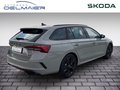 Daumennagel 3 - Skoda Octavia Combi 2.0 TSI 195 kW RS