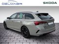 Daumennagel 4 - Skoda Octavia Combi 2.0 TSI 195 kW RS