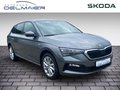 Daumennagel 2 - Skoda Scala 1.0 TSI Tour (NW)