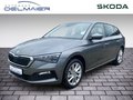 Daumennagel 1 - Skoda Scala 1.0 TSI Tour (NW)