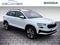 Daumennagel 2 - Skoda Karoq Style 4x4 AHK, ACC, SHZ v+h, Varioflex