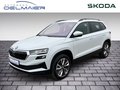 Daumennagel 1 - Skoda Karoq Style 4x4 AHK, ACC, SHZ v+h, Varioflex