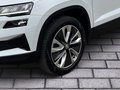 Daumennagel 6 - Skoda Karoq Style 4x4 AHK, ACC, SHZ v+h, Varioflex