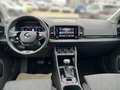Daumennagel 10 - Skoda Karoq Style 4x4 AHK, ACC, SHZ v+h, Varioflex