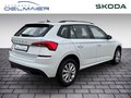 Daumennagel 3 - Skoda Kamiq Ambition