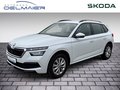 Daumennagel 1 - Skoda Kamiq Ambition