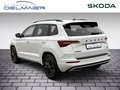 Daumennagel 4 - Skoda Karoq Sportline 4x4