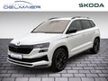 Daumennagel 1 - Skoda Karoq Sportline 4x4