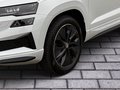 Daumennagel 6 - Skoda Karoq Sportline 4x4