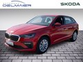 Daumennagel 1 - Skoda Scala Selection
