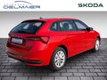 Daumennagel 3 - Skoda Scala Selection
