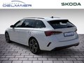 Daumennagel 4 - Skoda Octavia Combi RS Plus 4x4 ACC AHK Standheizung