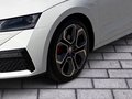 Daumennagel 6 - Skoda Octavia Combi RS Plus 4x4 ACC AHK Standheizung