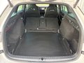 Daumennagel 13 - Skoda Octavia Combi RS Plus 4x4 ACC AHK Standheizung