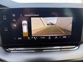 Daumennagel 14 - Skoda Octavia Combi RS Plus 4x4 ACC AHK Standheizung