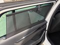 Daumennagel 19 - Skoda Octavia Combi RS Plus 4x4 ACC AHK Standheizung