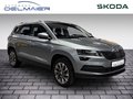 Daumennagel 2 - Skoda Karoq Clever 1.5 TSI AHK, Kamera, SHZ v+h