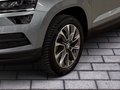 Daumennagel 6 - Skoda Karoq Clever 1.5 TSI AHK, Kamera, SHZ v+h