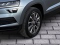 Daumennagel 6 - Skoda Karoq Clever 4x4 2.0 TDI DSG AHK, ACC, Navi, SHZ v+h, VarioFlex