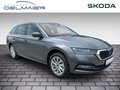 Daumennagel 2 - Skoda Octavia Combi 2.0 TDI DSG Style